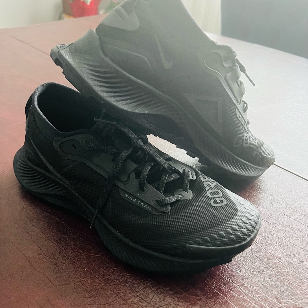 Nike Pegasus Trail 3 women shoes.
